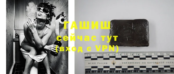 молекула духа Бородино
