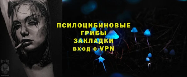 молекула духа Бородино