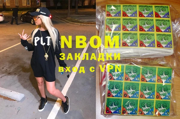 молекула духа Бородино