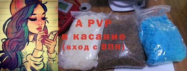 apvp Горняк