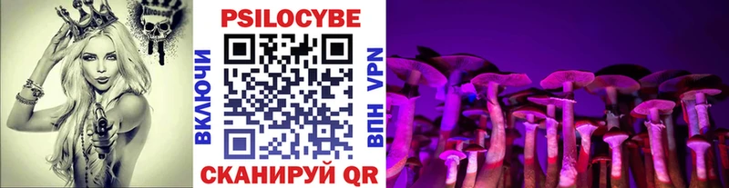 OMG как зайти  Гаврилов-Ям  Псилоцибиновые грибы MAGIC MUSHROOMS 